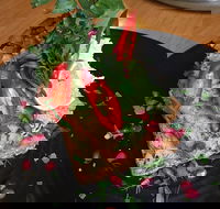 Percy's Aeroplane - Brisbane Tourism