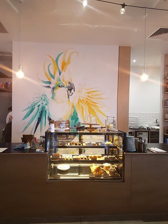 Charlemont ACT Tourism Brisbane
