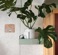 ACE Hotel Sydney - Tourism Brisbane