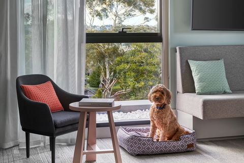 Element Melbourne Richmond - Tourism Brisbane 2