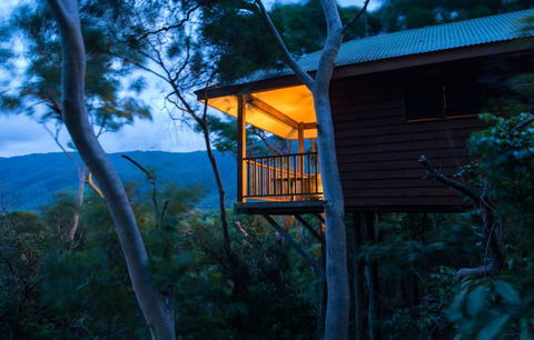 Thala Beach Nature Reserve - Brisbane 4u 0