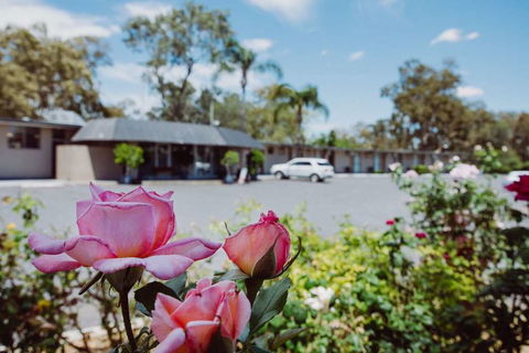 Artesian Spa Motor Inn - Tourism Brisbane 2