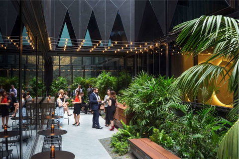 West Hotel Sydney, Curio Collection - Tourism Brisbane 4