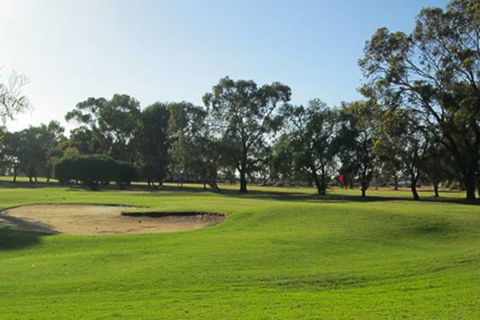 Comfort Inn & Suites Riverland - Tourism Brisbane 9