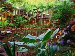 Daintree Eco Lodge & Spa - Tourism Brisbane 0
