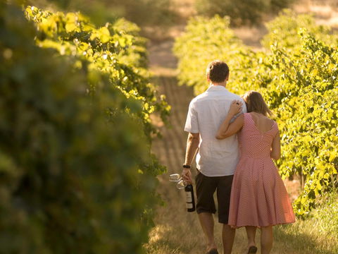 Novotel Barossa Valley Resort - Tourism Brisbane 1