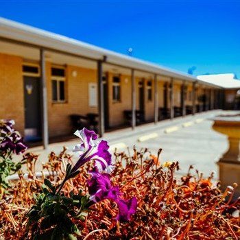 MAS Country Club Motor Inn - Tourism Brisbane 1