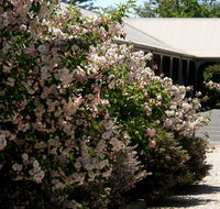 Wine Village Motor Inn - Brisbane 4u