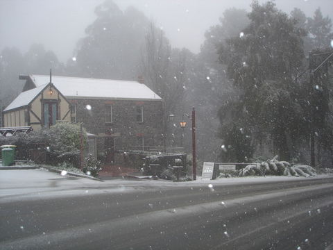 Adeline Bed & Breakfast - Tourism Brisbane 1