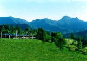 Hillcrest Mountain View Retreat - Tourism Brisbane 2