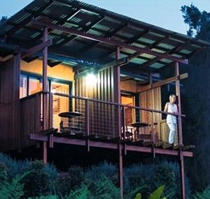 O'Reilly's Rainforest Guesthouse - Brisbane Tourism 1
