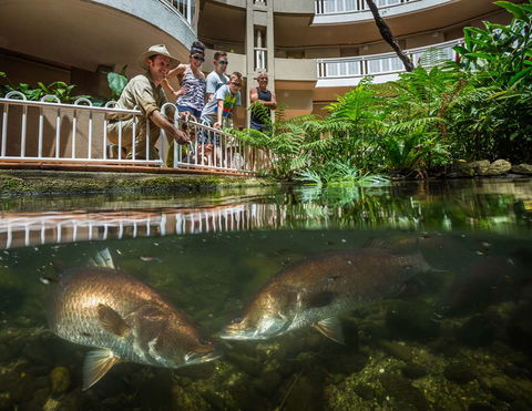DoubleTree By Hilton Cairns - Brisbane Tourism 4
