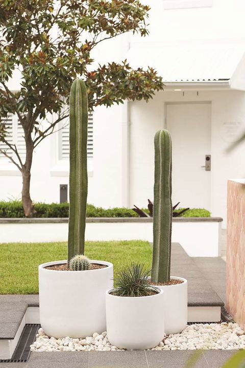 Adina Apartment Hotel Chippendale - Tourism Brisbane 0