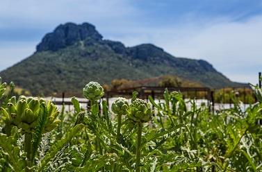 Royal Mail Hotel - Tourism Brisbane 14