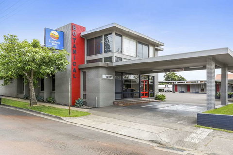 Comfort Inn Botanical - Tourism Brisbane 3
