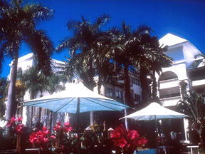 Alamanda Palm Cove - Tourism Brisbane 1