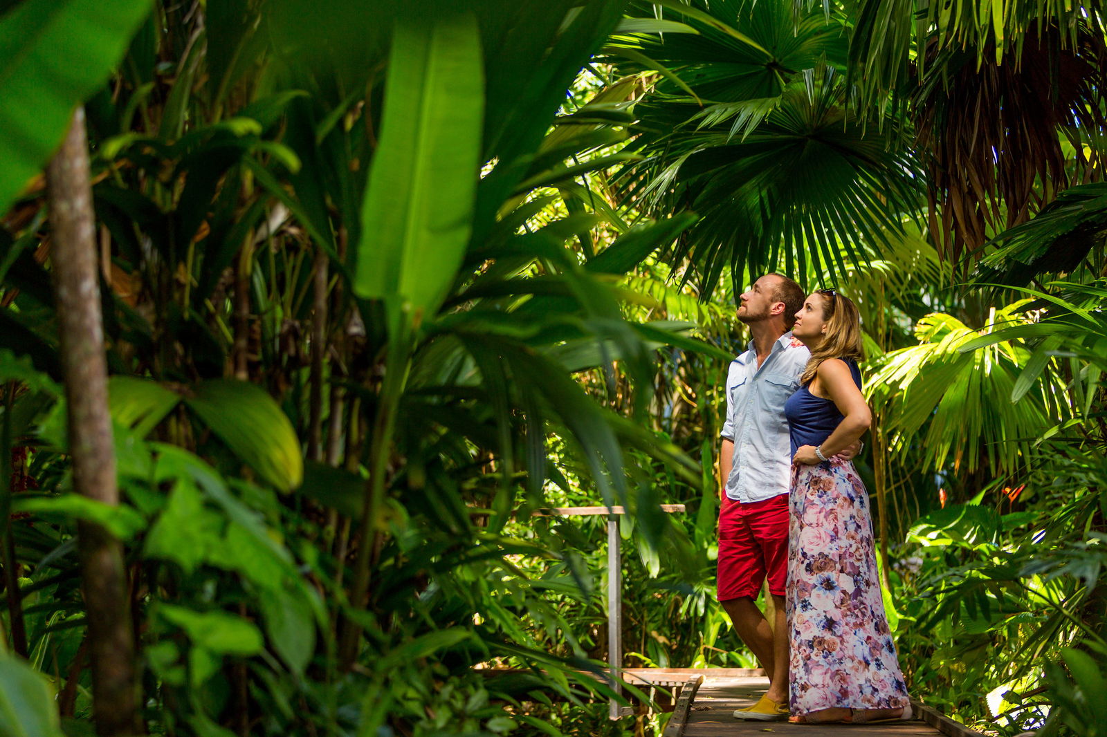 Cairns QLD Brisbane Tourism