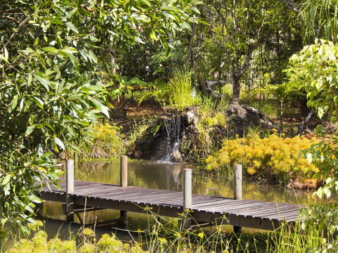 Cedar Park Rainforest Resort - Brisbane 4u 0