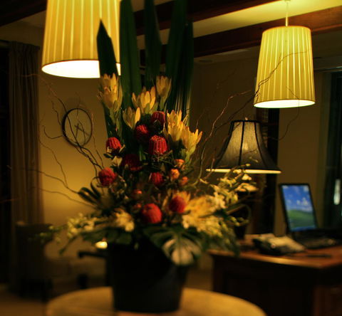 De Russie Boutique Hotel - Brisbane Tourism 26