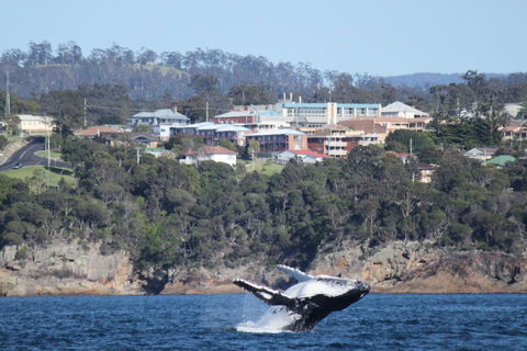 Heritage House Motel & Units - Tourism Brisbane 27