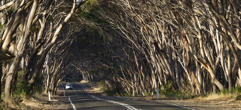 Mercure Kangaroo Island Lodge - Brisbane Tourism 40
