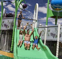 Discovery Parks  Barossa Valley - Tourism Brisbane