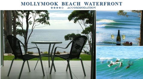 Mollymook Beach Waterfront - Brisbane 4u 1
