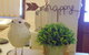 Baronet B & B - thumb 6