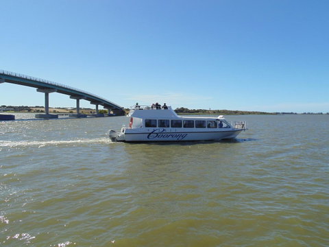 Baronet B & B - Brisbane Tourism 28