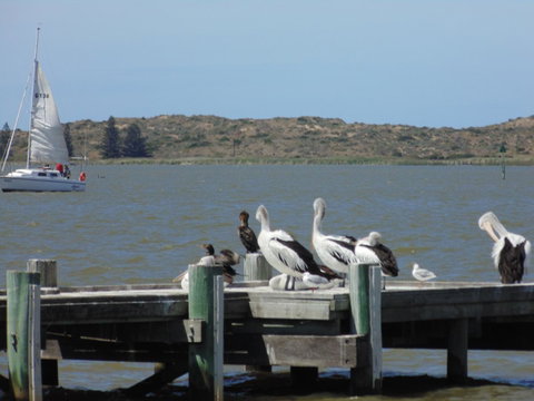 Baronet B & B - Brisbane Tourism 20