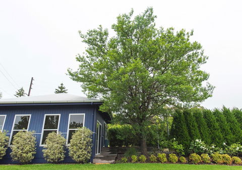 S T U D I O 22 Peaceful Retreat With Garden Views - Tourism Brisbane 11