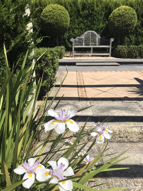 S T U D I O 22 Peaceful Retreat With Garden Views - Tourism Brisbane 13