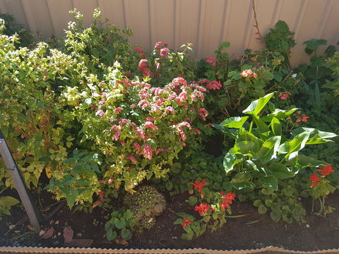 Tanunda\'s Magpie House - Tourism Brisbane 24