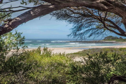 BIG4 Tasman Holiday Parks - Racecourse Beach - Brisbane 4u 7