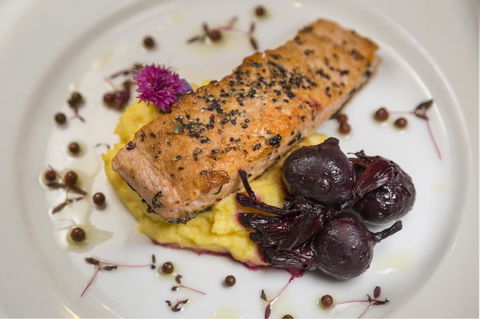 Adelaide Inn - Tourism Brisbane 37