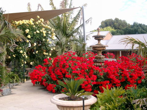 McLaren Vale Motel & Apartments - Brisbane Tourism 35
