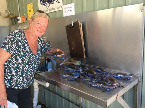 Ceduna Foreshore Caravan Park - Brisbane Tourism 28