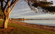 Ceduna Foreshore Caravan Park - thumb 19