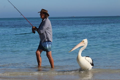 Ceduna Foreshore Caravan Park - Brisbane Tourism 21
