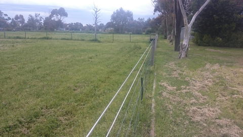 Gaerwood B&B - Tourism Brisbane 17