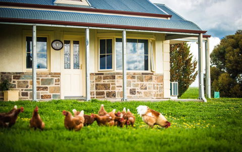 Barossa Vineyard Cottages - Tourism Brisbane 40