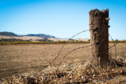 Barossa Vineyard Cottages - Tourism Brisbane 5