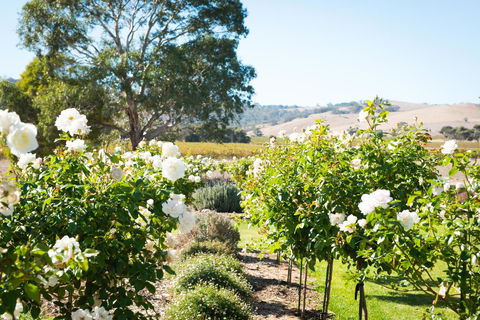 Barossa Vineyard Cottages - Tourism Brisbane 1
