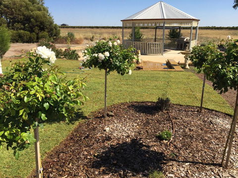 Barossa Vineyard Cottages - Tourism Brisbane 43