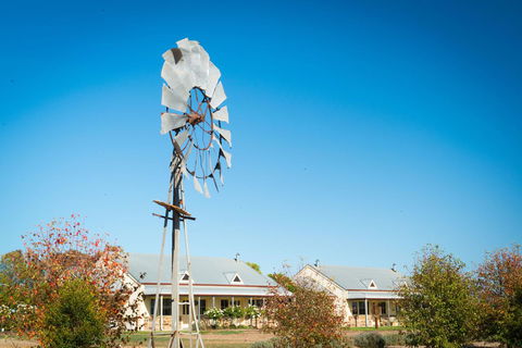 Barossa Vineyard Cottages - Tourism Brisbane 6