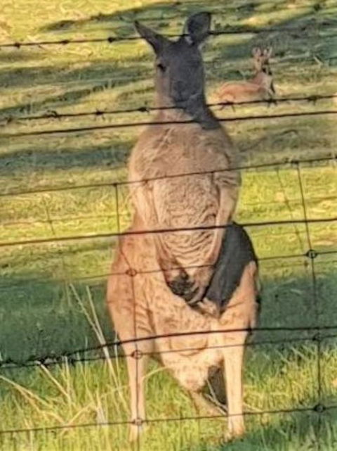 Adelaide Style Accommodation-Close To City-North Adelaide-3 Bdrm- FREE Parking - Tourism Brisbane 25