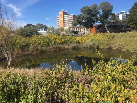 Adelaide Style Accommodation-Close To City-North Adelaide-3 Bdrm- FREE Parking - Tourism Brisbane 40