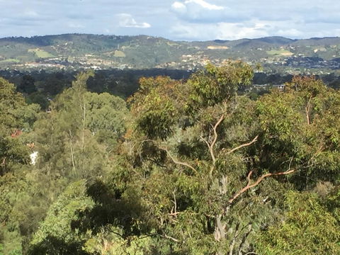 Tasha\'s Apartments On Warwick - Brisbane Tourism 35