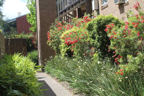 Adelaide DressCircle Apartments - Archer Street - Brisbane Tourism 18