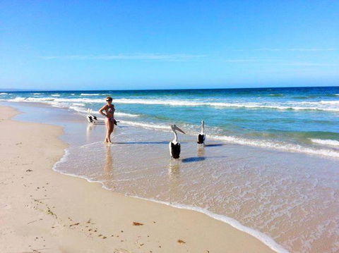 Atlantic West Beach Apartments - Tourism Brisbane 22